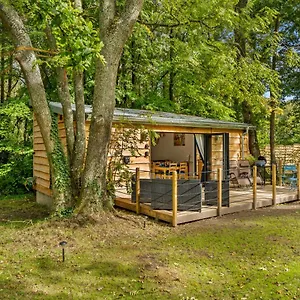  Holiday home Ivy United Kingdom